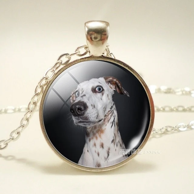 Dog Photo Glass Dome Necklace