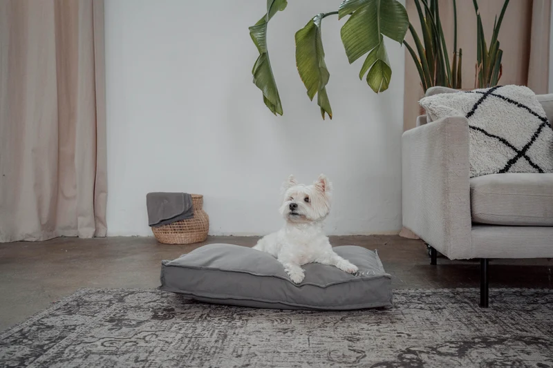 Hundebett "Wilma" | Stone Grey