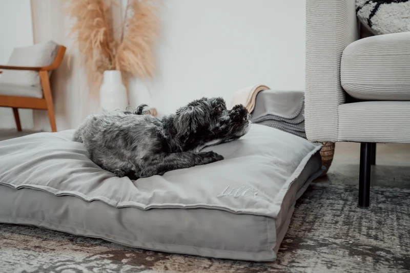 Hundebett "Wilma" | Stone Grey