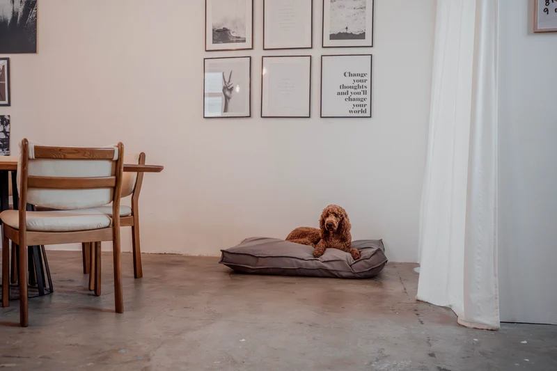 Hundebett "Wilma" | Stone Grey