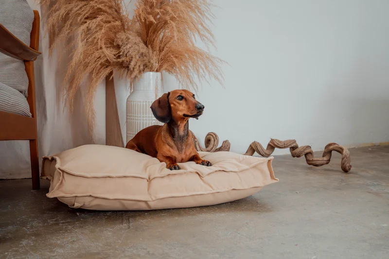 Hundebett "Wilma" | Sand