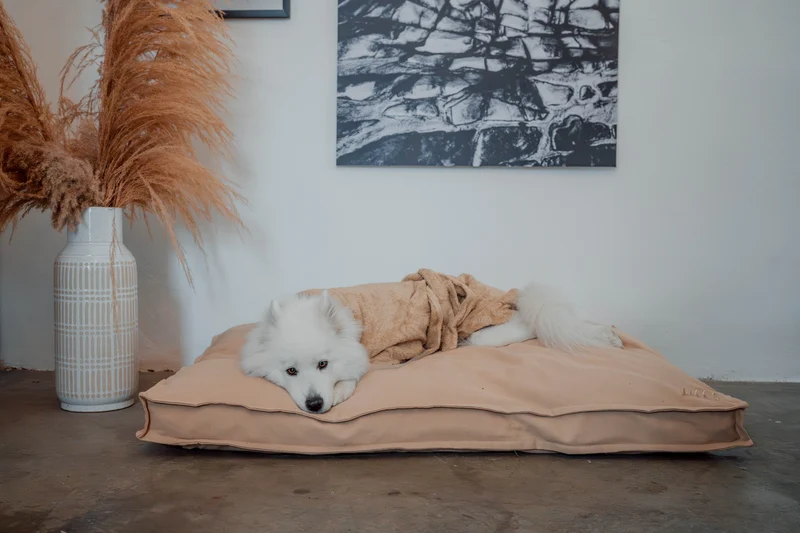 Hundebett "Wilma" | Sand