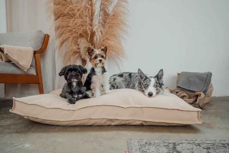 Hundebett "Wilma" | Sand