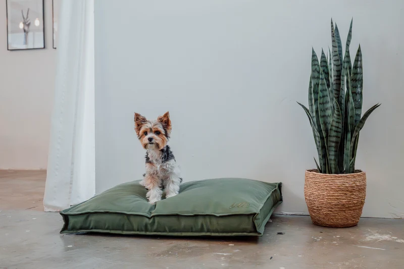 Hundebett "Wilma" | Olive