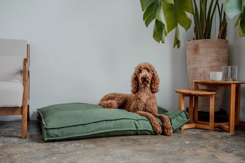 Hundebett "Wilma" | Olive