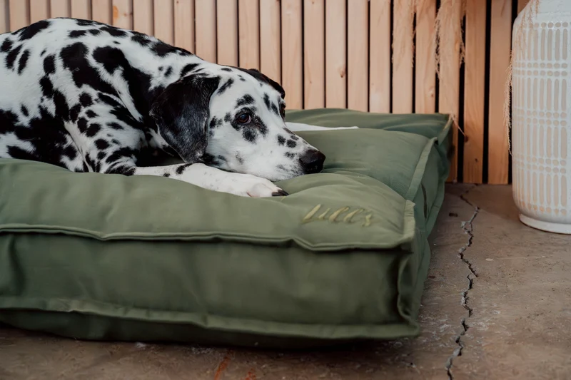 Hundebett "Wilma" | Olive