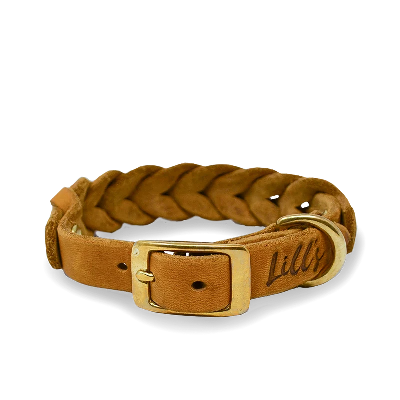 Hundehalsband aus Fettleder für kleine Hunde | Cognac