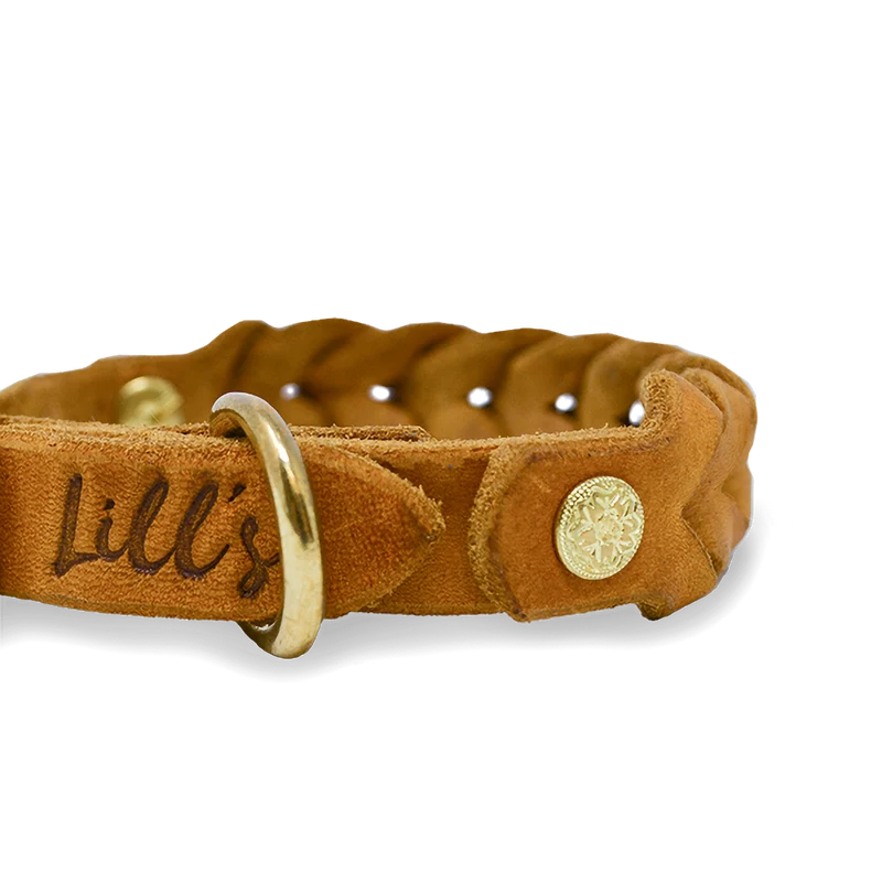 Hundehalsband aus Fettleder für kleine Hunde | Cognac
