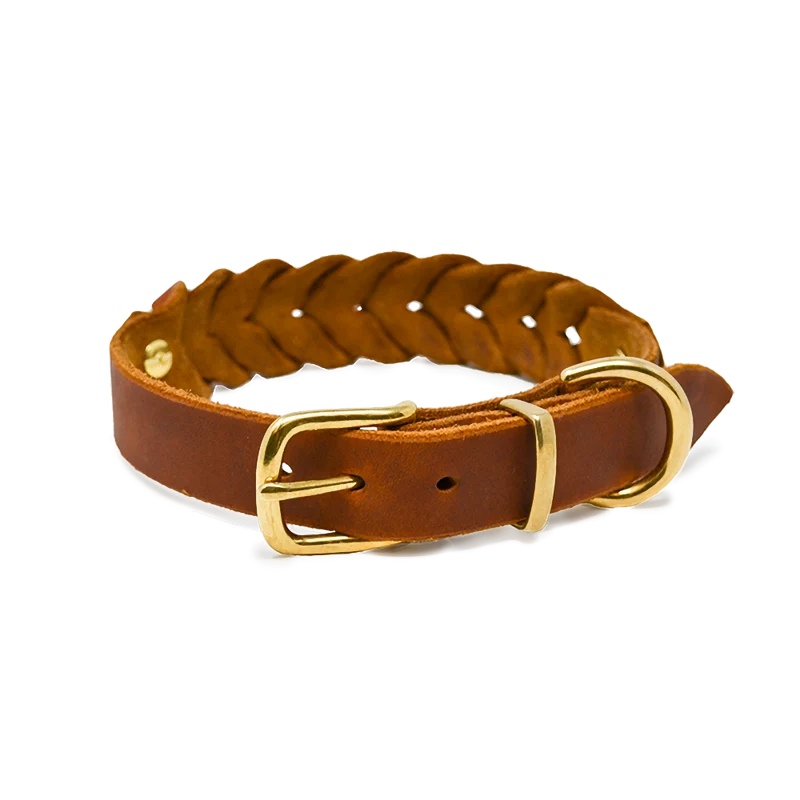 Hundehalsband aus Fettleder | Cognac
