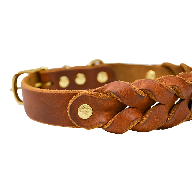 Hundehalsband aus Fettleder | Cognac
