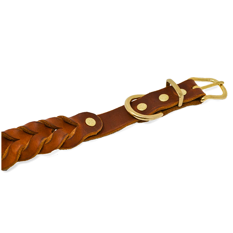 Hundehalsband aus Fettleder | Cognac