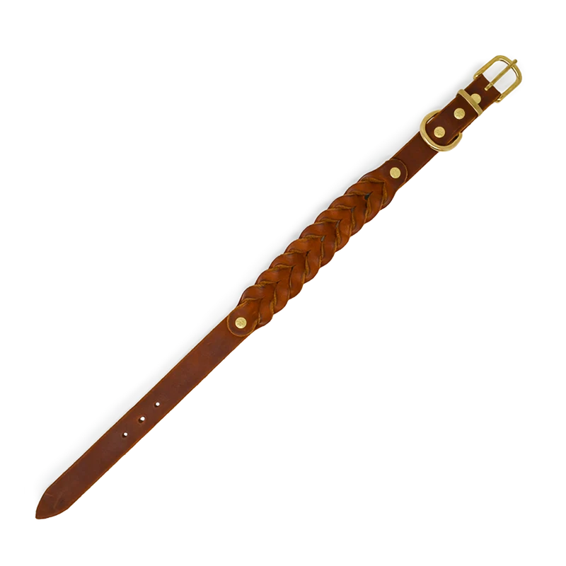 Hundehalsband aus Fettleder | Cognac