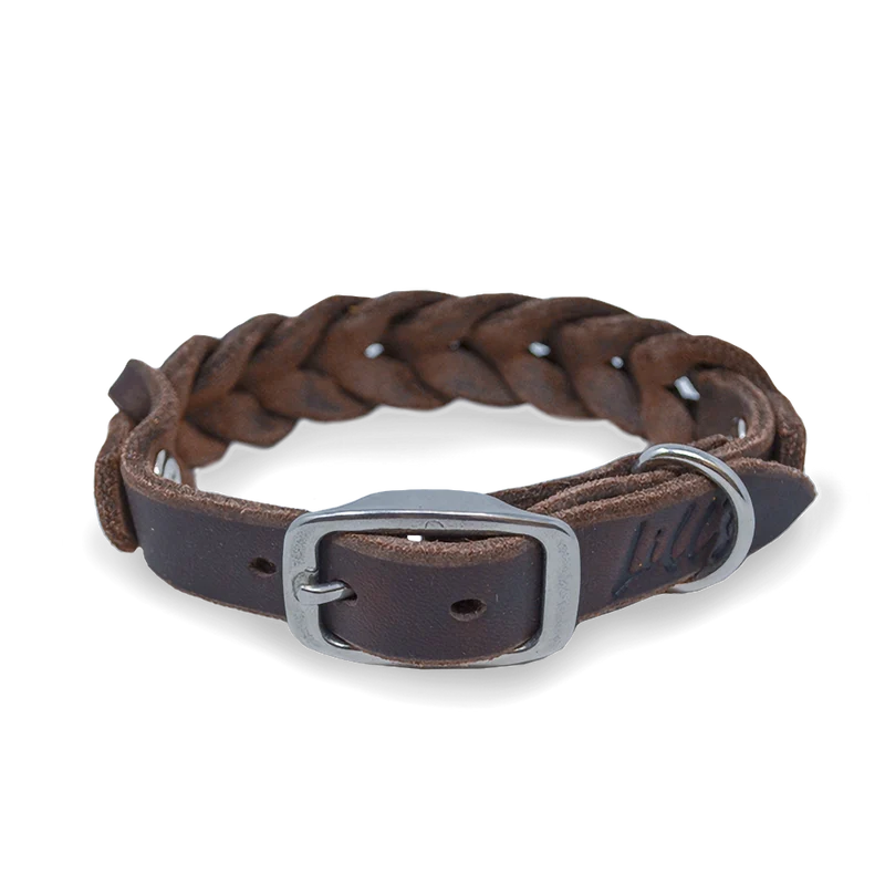 Hundehalsband aus Fettleder für kleine Hunde | Dunkelbraun