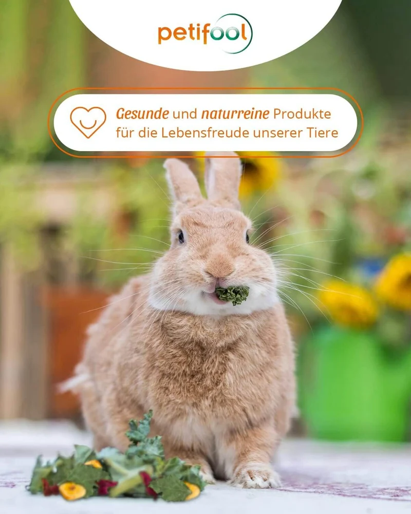petifool Nager Flora - Nagerfutter