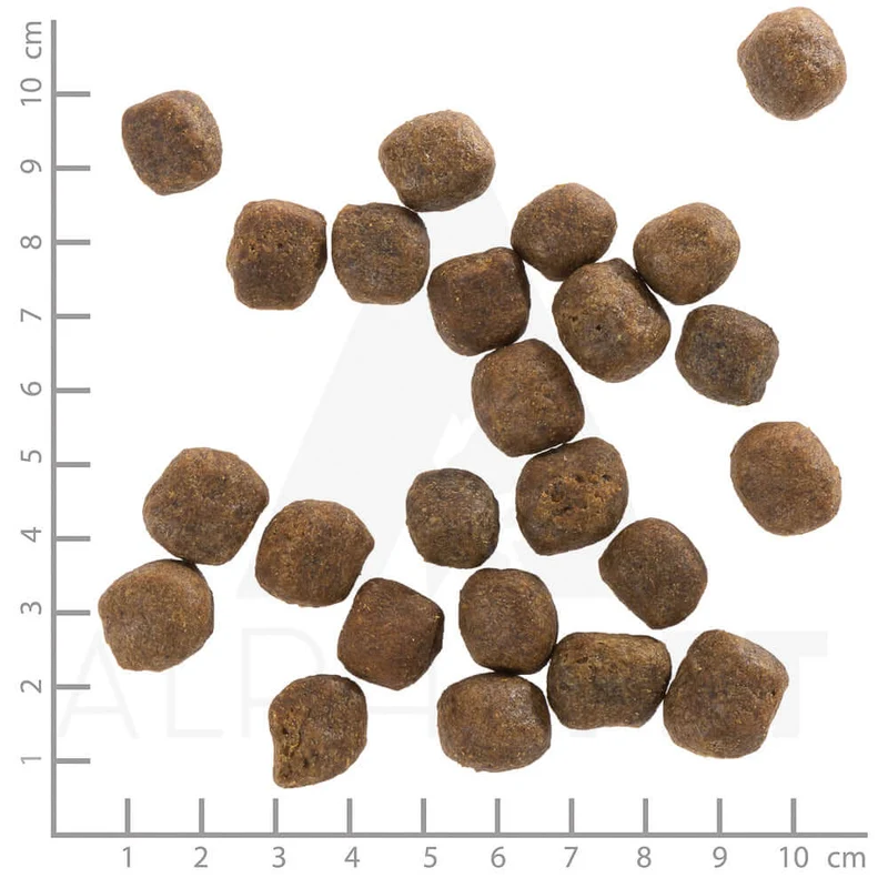 Wolfsblut Adult Cold River Trockenfutter
