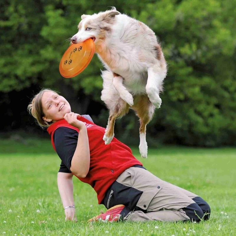 Hunde Frisbee von Karin Actun