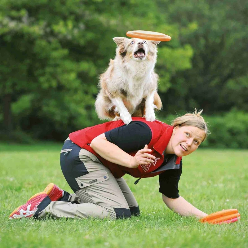 Hunde Frisbee von Karin Actun