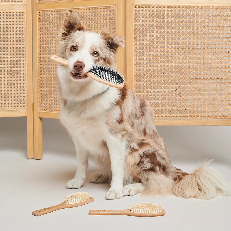 Vegane Hundehaarbürste aus Holz & Nylon
