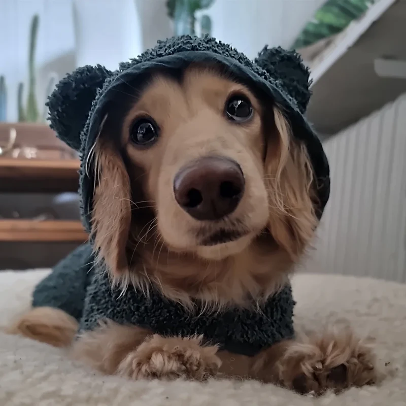 Hundebademantel Petrol