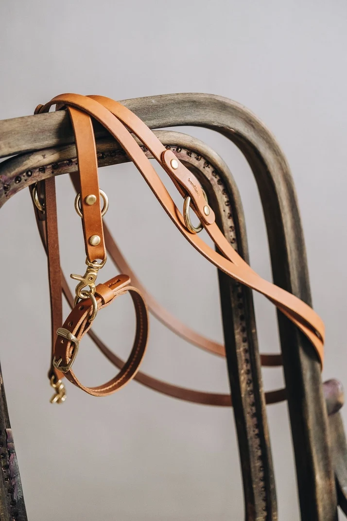 Hundeleine LASSO AIR Hellbraun