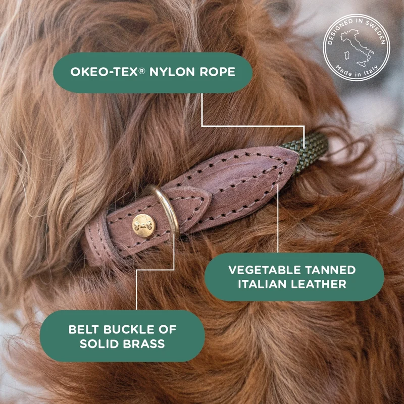 Hundehalsband Torekov Shimmer Green