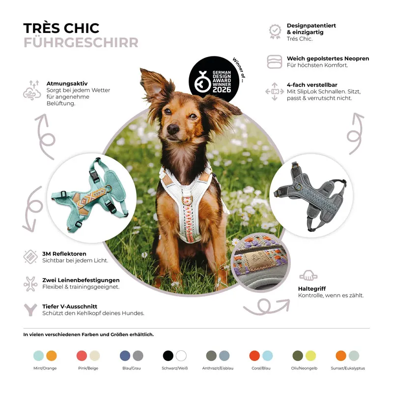 Premium Hundegeschirr Gepolstert Schwarz/Weiß