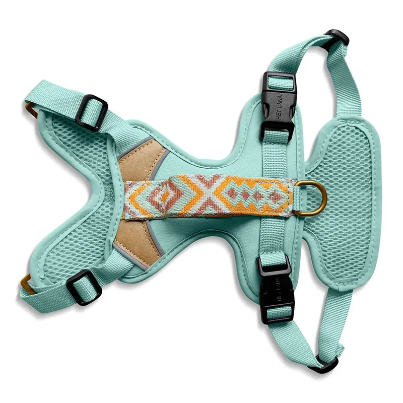 Premium Hundegeschirr Gepolstert Mint/Orange