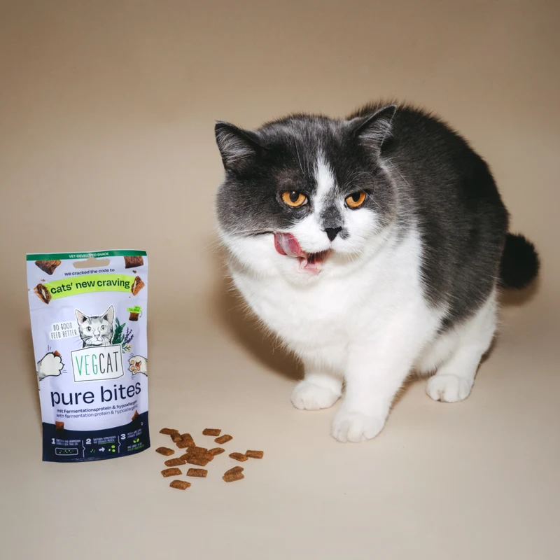 VEGCAT PURE BITES