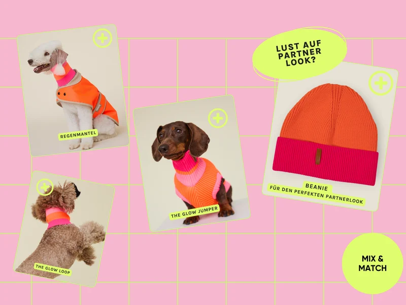 THE GLOW LOOP 2.0 (Sunny Tangerine)
