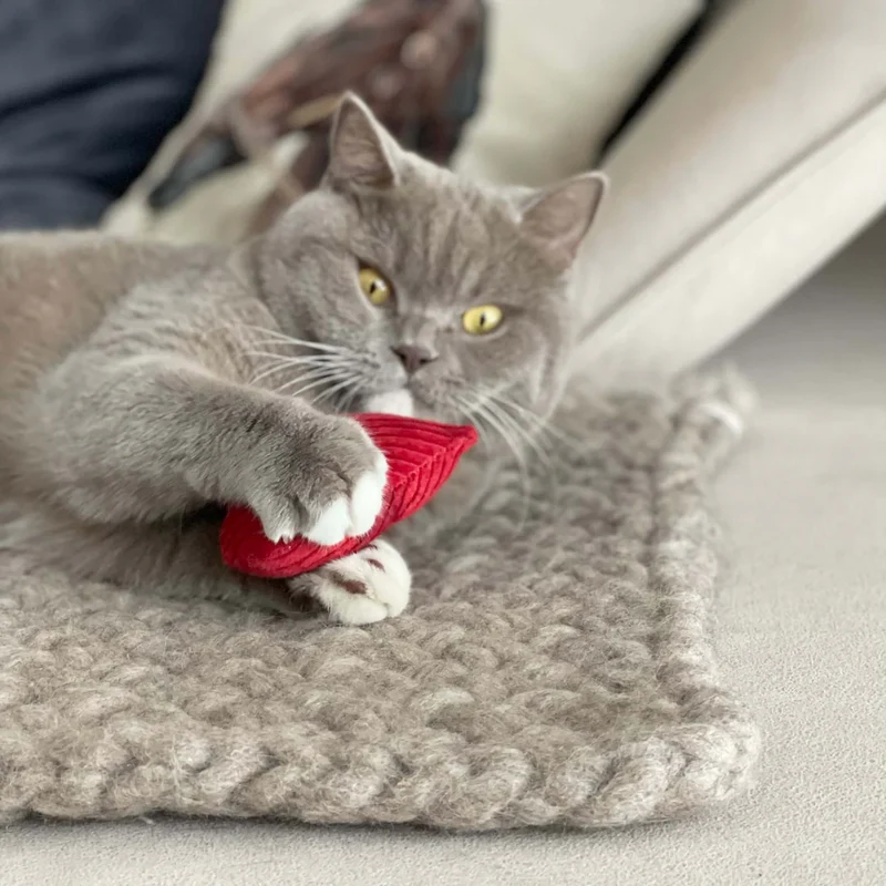 Katzenminze Kissen Herz Rot