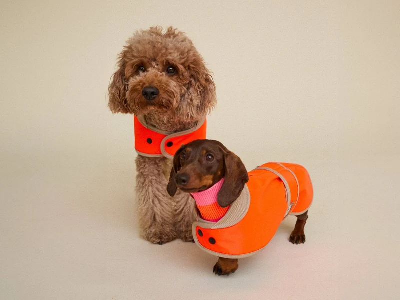 THE GLOW RAINCOAT | mini-fit