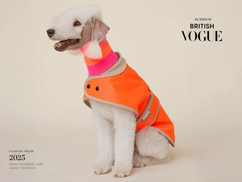 THE GLOW RAINCOAT | mini-fit