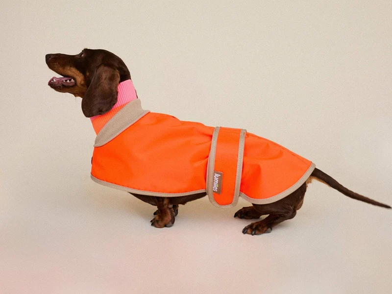 THE GLOW RAINCOAT | mini-fit