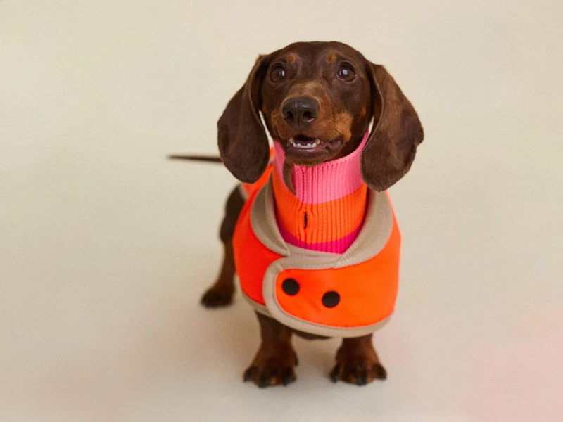 THE GLOW RAINCOAT | mini-fit