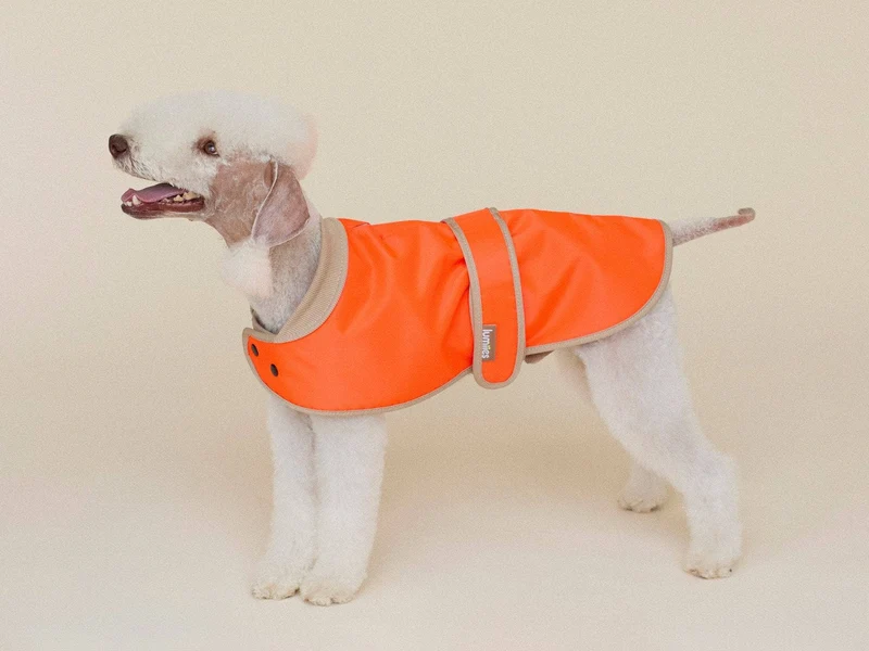 THE GLOW RAINCOAT | mini-fit