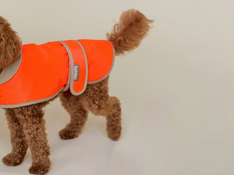 THE GLOW RAINCOAT | mini-fit