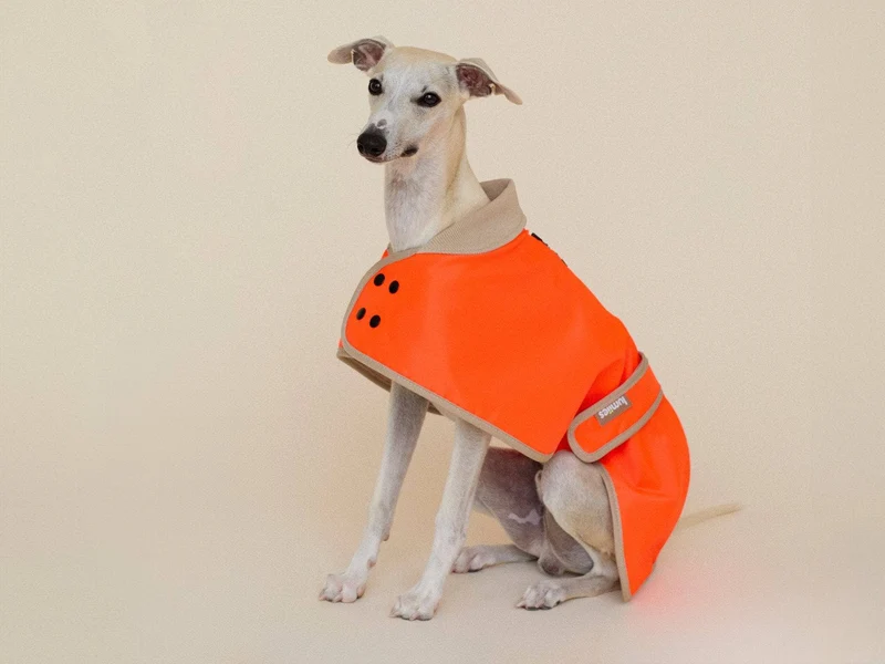 THE GLOW RAINCOAT | regular-fit