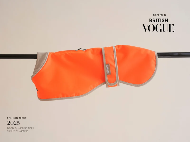 THE GLOW RAINCOAT | regular-fit