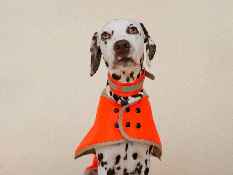 THE GLOW RAINCOAT | regular-fit