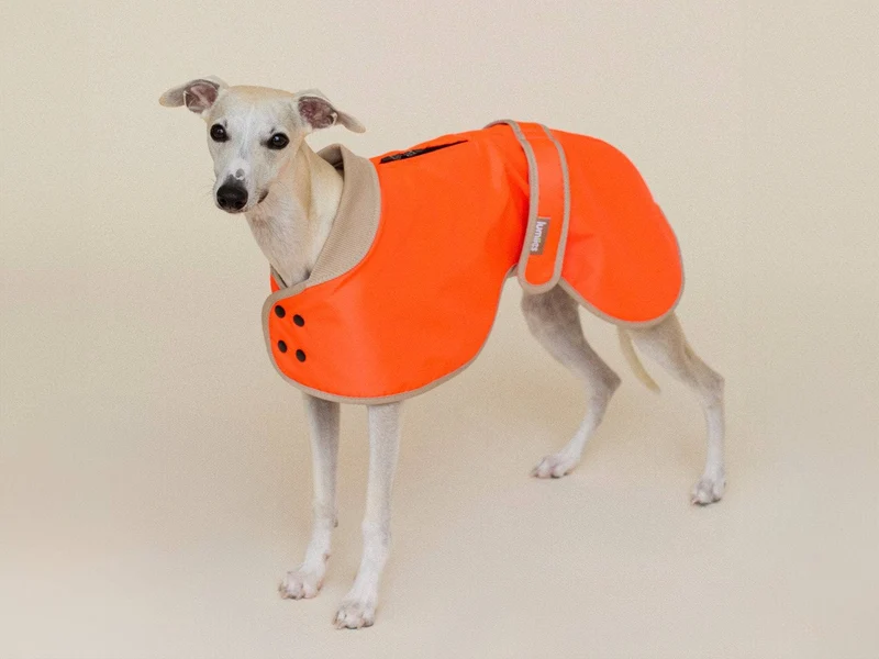THE GLOW RAINCOAT | regular-fit