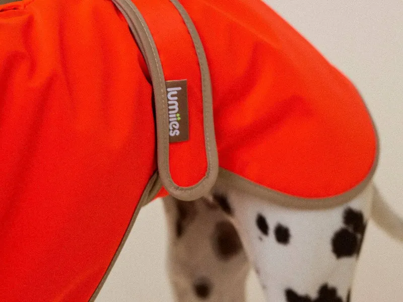 THE GLOW RAINCOAT | regular-fit