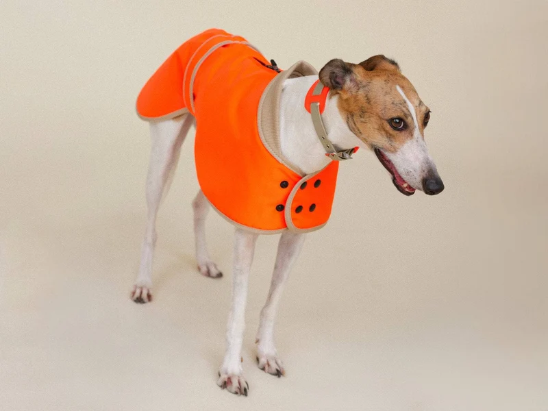 THE GLOW RAINCOAT | regular-fit