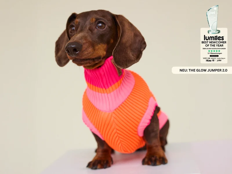 THE GLOW JUMPER 2.0 | Sunny Tangerine