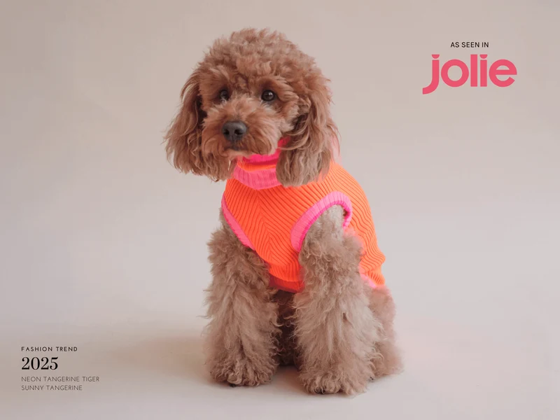 THE GLOW JUMPER 2.0 | Sunny Tangerine