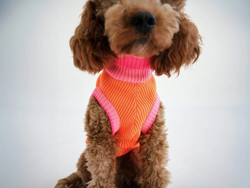 THE GLOW JUMPER 2.0 | Sunny Tangerine
