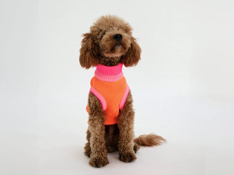 THE GLOW JUMPER 2.0 | Sunny Tangerine