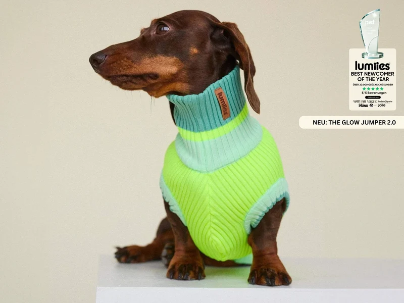 THE GLOW JUMPER 2.0 | Neon Matcha