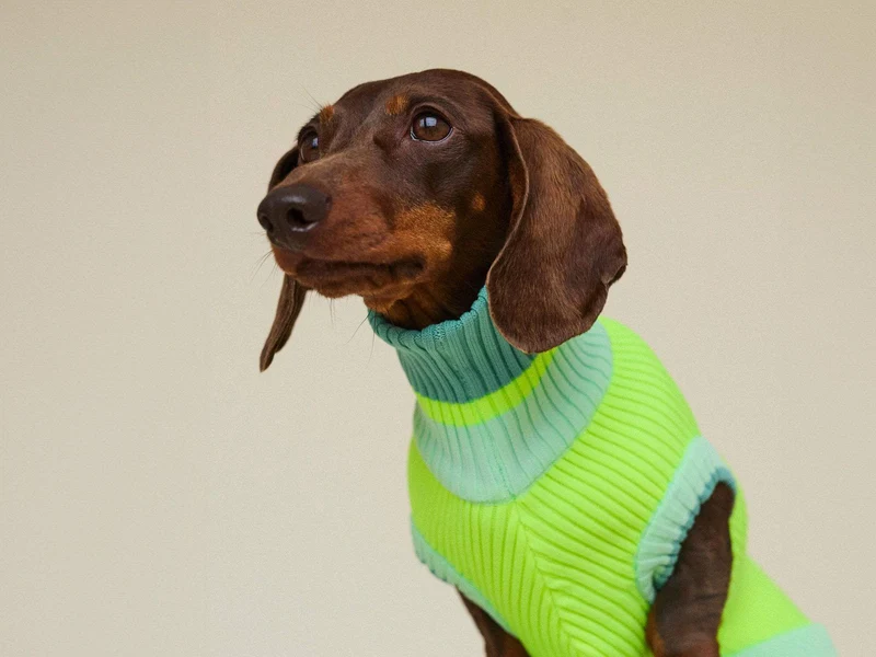THE GLOW JUMPER 2.0 | Neon Matcha