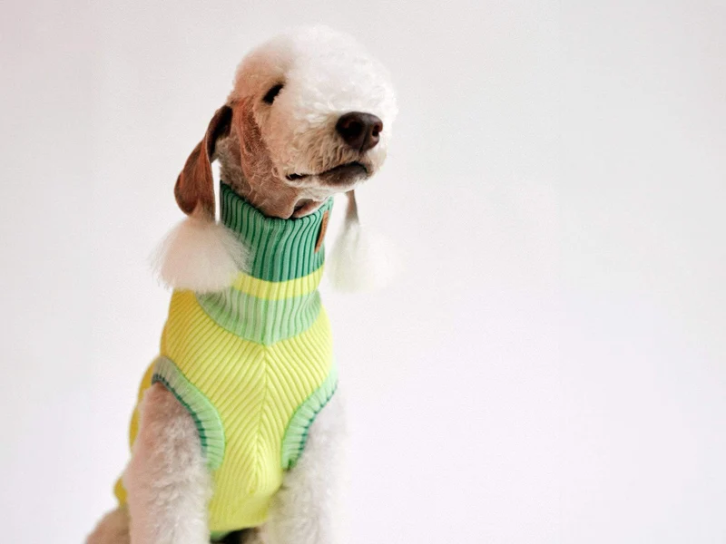 THE GLOW JUMPER 2.0 | Neon Matcha