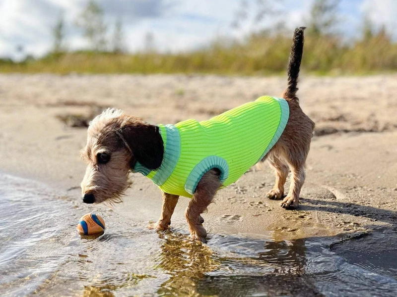 THE GLOW JUMPER 2.0 | Neon Matcha